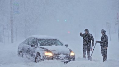 Photo of Avertizare pentru moldovenii care vor vizita Bulgaria în această perioadă: 15 regiuni vor fi afectate de ninsori și vânt puternic