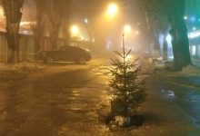 Photo of foto | „A răsărit” chiar din asfalt. Un brăduț îi atenționează pe șoferi despre o groapă imensă formată în capitală