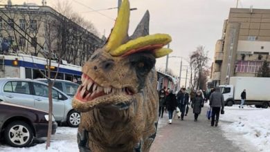 Photo of video | Pe străzile capitalei – ca în era preistorică. Un dinozaur imens, filmat în timp ce traversa strada