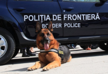 Photo of foto | Ceea ce nu văd polițiștii, simt câinii. Patrupedul de Serviciu al Vămii a deconspirat o contrabandă de mii de lei
