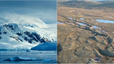 Photo of Dintr-un tărâm înghețat, într-un câmp pentru păscut. Antarctica se topește de 6 ori mai repede decât acum 40 de ani