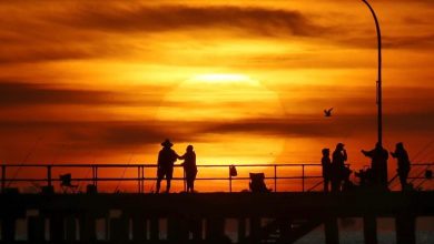 Photo of Caniculă extremă și incendii de vegetație în Australia: Temperatura s-a ridicat până la 35,9 grade Celsius noaptea