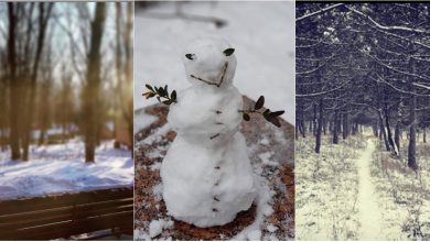 Photo of foto, video | Străzi albe și priveliști rupte din poveste. Cum se vede ninsoare de azi pe Instagramul moldovenesc?