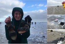 Photo of foto, video | Căutătorii de comori au ancorat pe o plajă din Olanda. O furtună în larg a împrăștiat mii de lucruri pe țărm