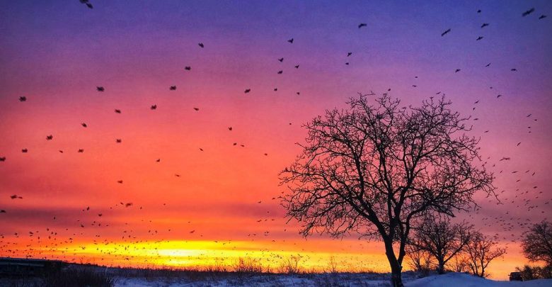 Photo of meteo | Februarie e darnică. Ultima lună a iernii ne va întâmpina cu temperaturi de până la +12°C