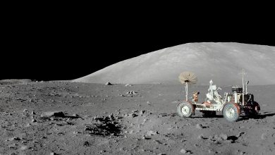 Photo of Premieră istorică pentru omenire. Prima semință de bumbac a încolțit pe Lună