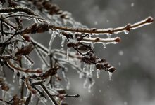 Photo of meteo | Ne înarmăm cu umbrele și suntem atenți la gheață. Cum va fi vremea în ultima saptămână din ianuarie?