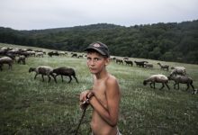 Photo of foto | „Tânărul păstor”. Fotografia unui moldovean, premiată la Sony World Photography Awards