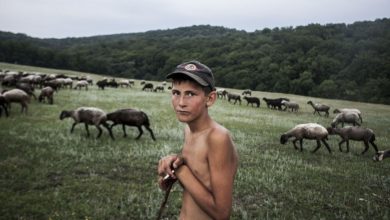 Photo of foto | „Tânărul păstor”. Fotografia unui moldovean, premiată la Sony World Photography Awards