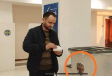 Photo of Scrutin cu surprize: Alegătorii din Comrat ar fi aruncat buletinele în urne cu stema Federației Ruse