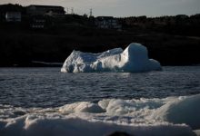 Photo of Dispariție misterioasă într-o regiune canadiană. Un aisberg gigant, apa căruia era folosită pentru producerea de votcă, ar fi fost furat