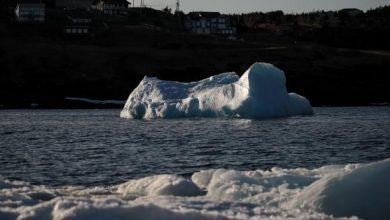 Photo of Dispariție misterioasă într-o regiune canadiană. Un aisberg gigant, apa căruia era folosită pentru producerea de votcă, ar fi fost furat