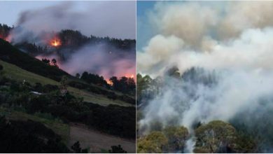 Photo of foto | Noua Zeelandă, în pericol din cauza unui incendiu de vegetație. Aproximativ 3000 de oameni au fost deja evacuați