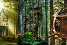 Photo of foto | Imprevizibile și rupte din povești. Cum arată cele mai originale case construite în copaci?
