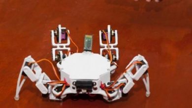 Photo of foto | Cine zice că nu există super-eroi? Câțiva tineri din Mexic au inventat robotul-păianjen care va salva oamenii de sub dărâmături