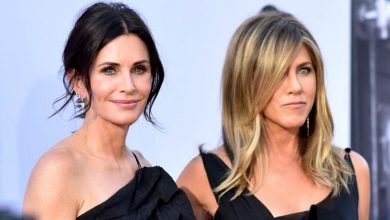 Photo of Momente de panică pentru Jennifer Aniston și Courteney Cox. Avionul la bordul căruia se aflau a aterizat de urgenţă