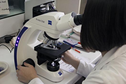 Photo of Prevenirea cancerului de col uterin: Șapte instituții de învățământ medical, dotate cu echipament modern de instruire