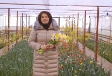 Photo of video | Cu flori în mână, Monica Babuc îndeamnă oamenii ca, de Dragobete, să-i voteze pe cei care iubesc Moldova