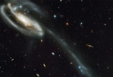 Photo of video | Se află în vecinătate cu noi. Hubble a descoperit din întâmplare o nouă galaxie