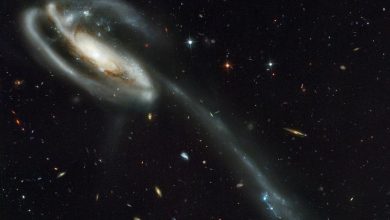 Photo of video | Se află în vecinătate cu noi. Hubble a descoperit din întâmplare o nouă galaxie