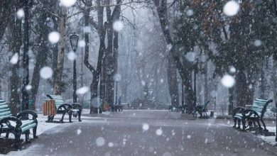 Photo of meteo | Ninsori în toată țara. Ce temperaturi prognozează meteorologii în această săptămână