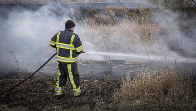 Photo of Peste 50 de incendii de vegetație în toată țara: Aproape 200 de hectare de iarbă au ars doar în ultimele 24 de ore