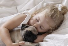 Photo of În loc de tort, un pat și o pernă. Astăzi este sărbătorită Ziua Mondială a Somnului: 13 curiozități pe care probabil nu le-ai știut până acum
