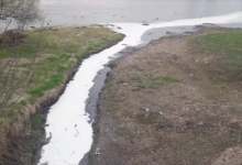 Photo of video | Înfiorați de ce se petrece. Mai mulți locuitori din Soroca, îngrijorați de o substanță albă ce se scurge în Nistru