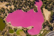 Photo of foto | Nu e „lapte de hipopotam”, dar e la fel de roz. Un lac din Australia și-a schimbat în mod natural culoarea