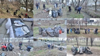 Photo of foto | Bazinele acvatice din Chișinău „respiră”. Sute de saci de gunoi au fost colectate din albiile râurilor 