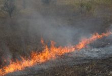 Photo of video | Incendiu de proporții la ieșirea din Strășeni. Ard zeci de metri pătrați de vegetație