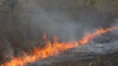 Photo of video | Incendiu de proporții la ieșirea din Strășeni. Ard zeci de metri pătrați de vegetație