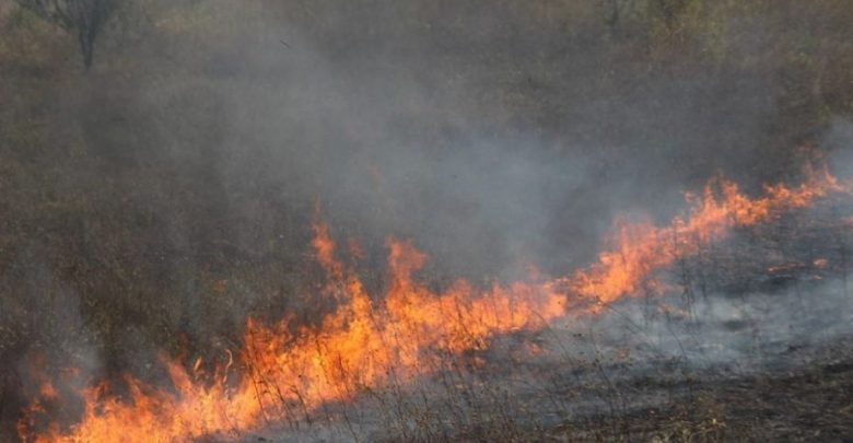 Photo of Alertă meteorologică: Cod Galben de pericol de incendiu pe întreg teritoriul R. Moldova