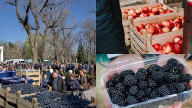 Photo of foto | Sute de vizitatori și zeci de tone de fructe vândute până acum. Cum decurge târgul „Ia Moldova Acasă”?