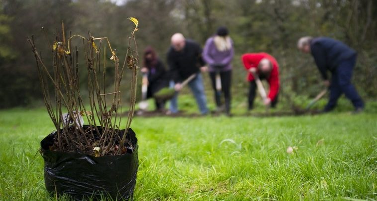 Photo of „Plantăm fapte bune”: Pe 30 martie, Primăria invită chișinăuienii să sădească arbori