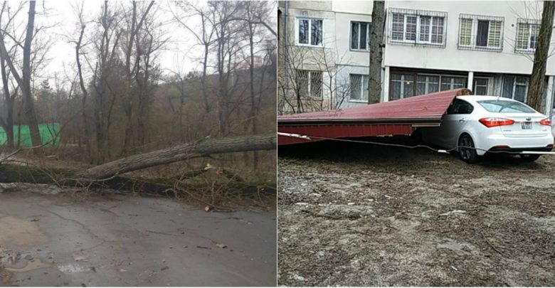 Photo of foto | Codul Galben se dezlănțuie. Rafalele de vânt doboară la pământ copacii și gardurile șantierelor