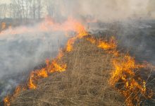 Photo of Pompierii continuă să lupte cu incendiile de vegetație. Peste 130 de hectare de teren din întreaga țară au ars în ultimele 24 de ore