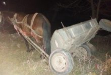 Photo of foto | O căruță s-a răsturnat noaptea trecută în raionul Șoldănești. Un copil de 2 anișori, transportat la spital