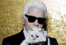 Photo of foto | RIP Daddy: Pisica lui Karl Lagerfeld rămâne în lumina reflectoarelor. Choupette va lansa o linie de haine și accesorii