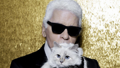 Photo of foto | RIP Daddy: Pisica lui Karl Lagerfeld rămâne în lumina reflectoarelor. Choupette va lansa o linie de haine și accesorii