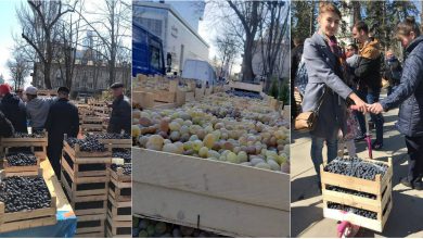 Photo of foto, video | Sute de lăzi cu struguri, vândute în parcul Catedralei, cu doar 50 de lei fiecare. Cum se desfășoară târgul „Ia Moldova acasă”?