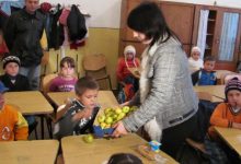 Photo of Fructele autohtone, pe mesele școlilor din Moldova. Elevii ar putea primi mere gratuit începând cu 1 septembrie