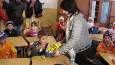 Photo of Fructele autohtone, pe mesele școlilor din Moldova. Elevii ar putea primi mere gratuit începând cu 1 septembrie