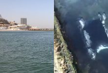 Photo of video | Incident neașteptat în portul din Odessa. Un copil a fost luat de vânt, cu tot cu cărucior, și aruncat în apele Mării Negre
