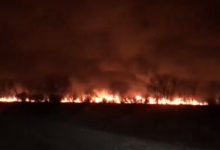 Photo of video 18+ | Flăcări fără frontiere: Un incendiu de vegetație a izbucnit în apropierea punctului vamal Palanca