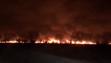 Photo of video 18+ | Flăcări fără frontiere: Un incendiu de vegetație a izbucnit în apropierea punctului vamal Palanca