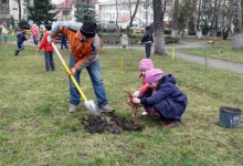 Photo of Contribuie la sănătatea orașului tău! Primăria Chișinău te invită sâmbătă la plantarea copacilor în capitală