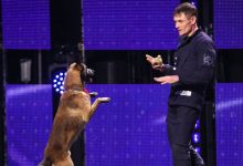 Photo of video | „Câinele ăsta are ceva uman în el”. Patrupedul de la frontiera Republicii Moldova a făcut senzație pe scena „Românii au Talent”