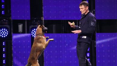 Photo of video | „Câinele ăsta are ceva uman în el”. Patrupedul de la frontiera Republicii Moldova a făcut senzație pe scena „Românii au Talent”