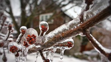 Photo of Temperaturile de iarnă „ne vizitează” și în această noapte. Codul galben de înghețuri, prelungit de meteorologi